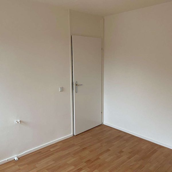 Binnenhuis wandafwerking Project Deventer